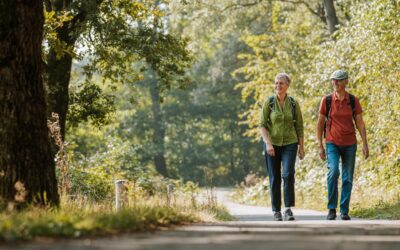 Lancering nieuwe wandelroute ‘Liberation Route Brabant’: in de voetsporen van de Canadese bevrijders